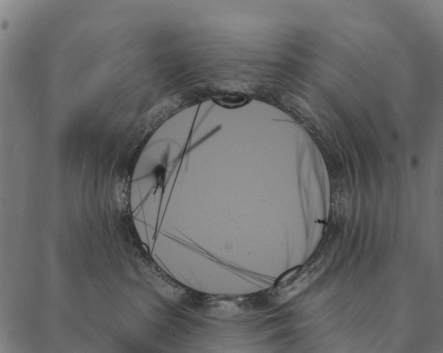 X0000087350285200705181134