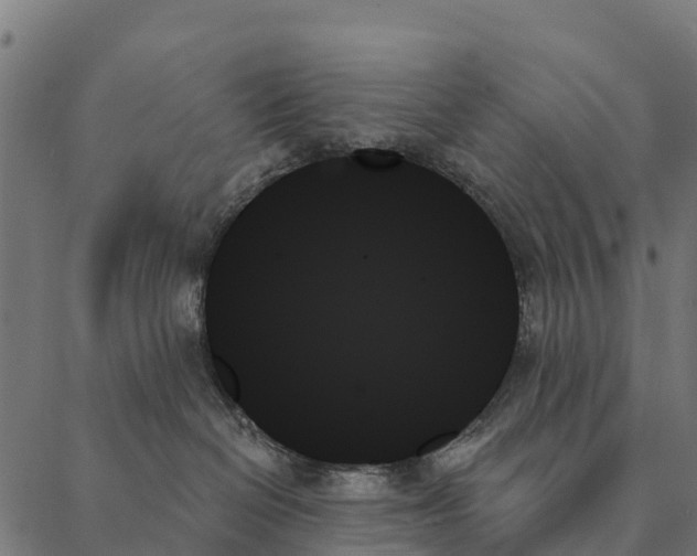 X0000087350286200705181134