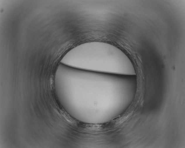 X0000087350288200705181134