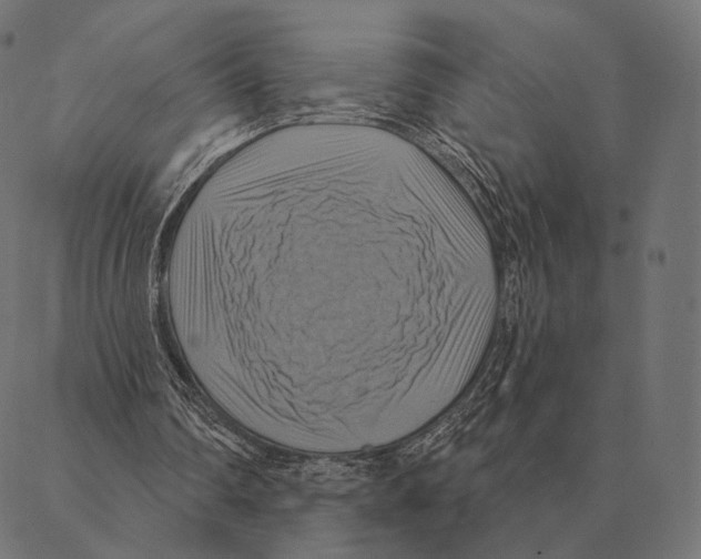 X0000087350290200705181133