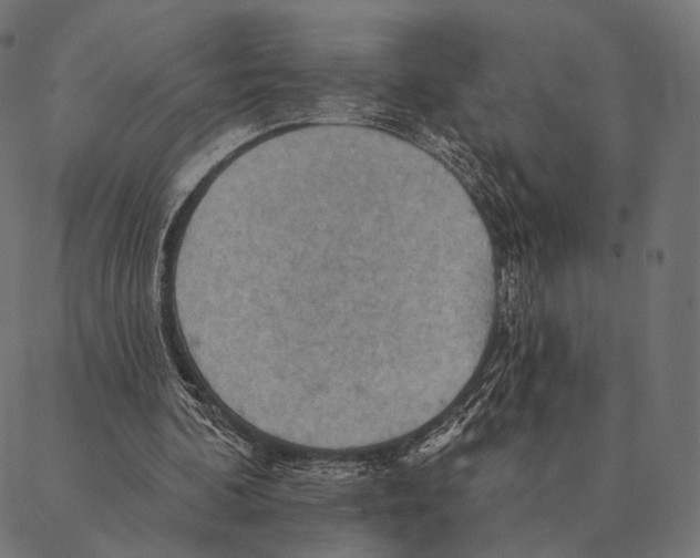 X0000087350292200705181133