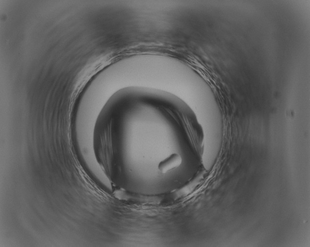 X0000087350293200705181133