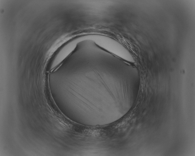 X0000087350295200705181133