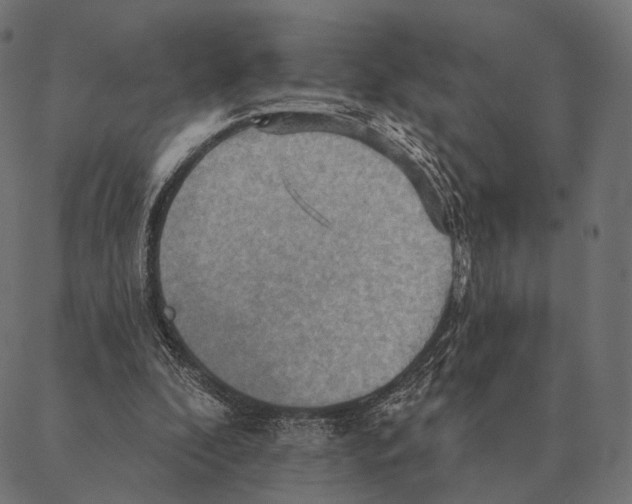 X0000087350296200705181133