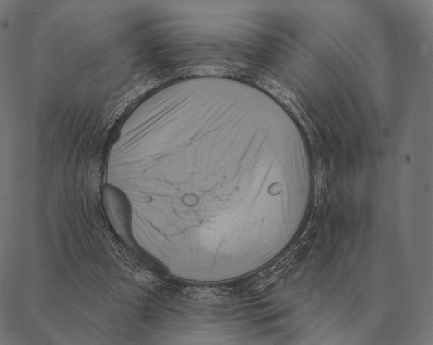 X0000087350297200705181133