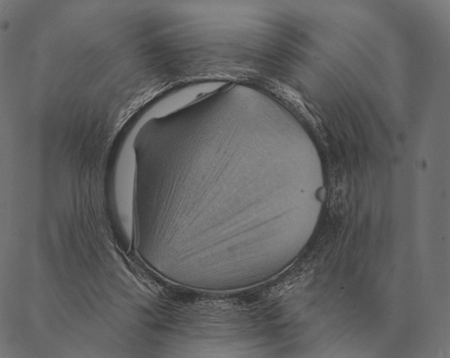 X0000087350299200705181133