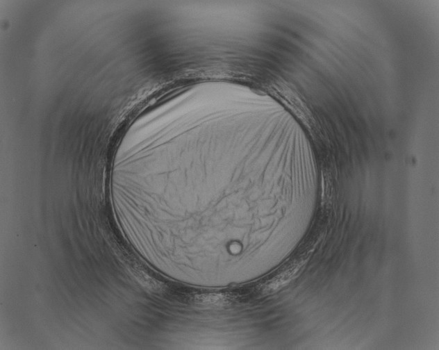 X0000087350301200705181133