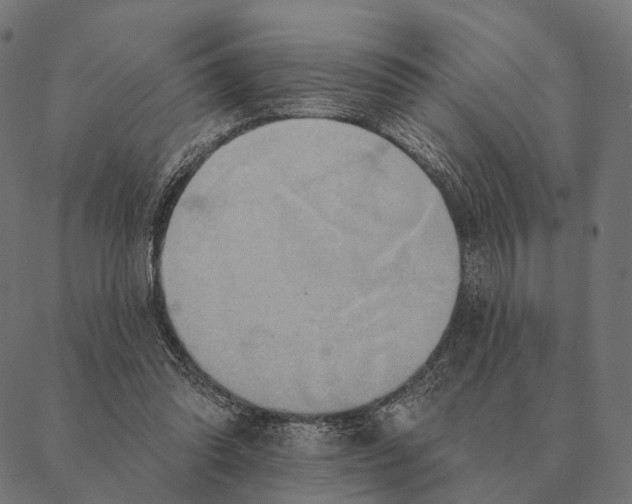 X0000087350302200705181133