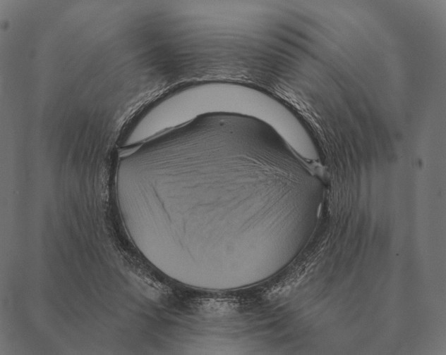 X0000087350303200705181133