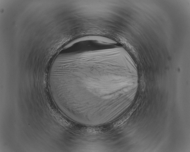 X0000087350305200705181133