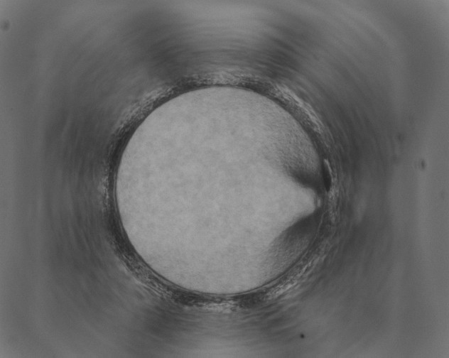 X0000087350306200705181133