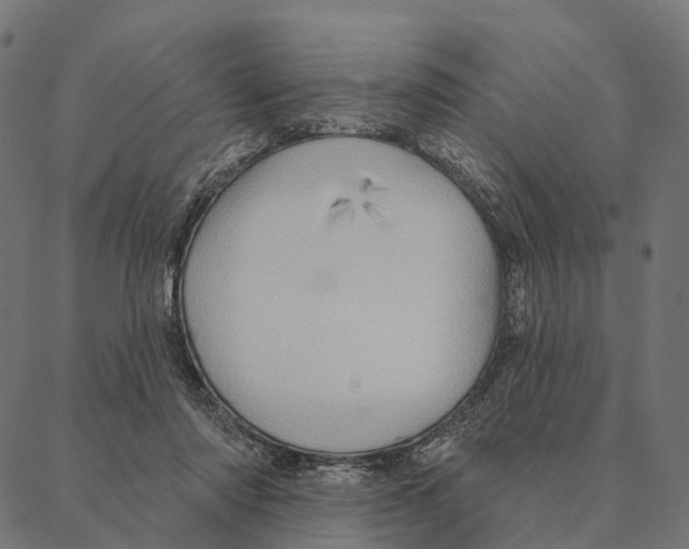 X0000087350310200705181133