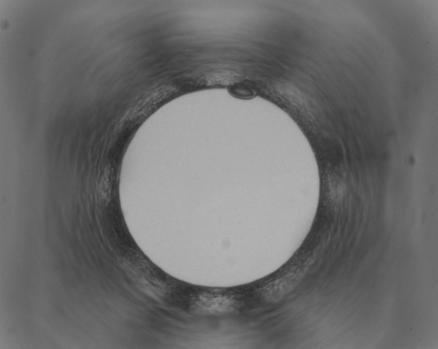 X0000087350311200705181133