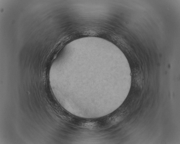 X0000087350312200705181133