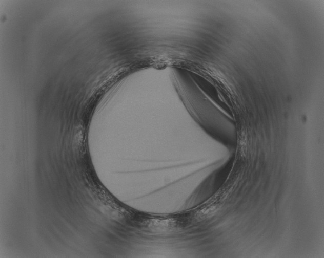 X0000087350314200705181133