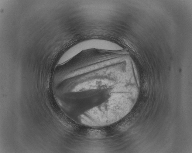 X0000087350315200705181133