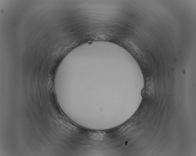 X0000087350318200705181133