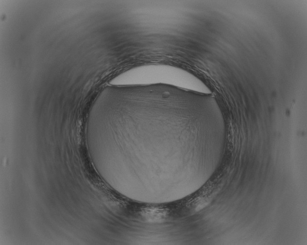 X0000087350319200705181133