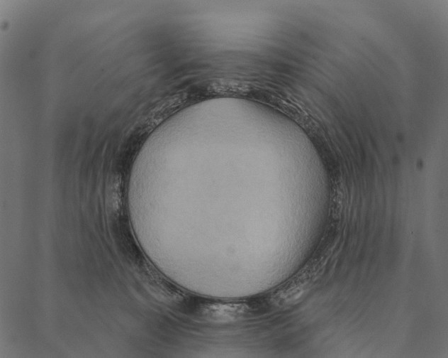 X0000087350323200705181133