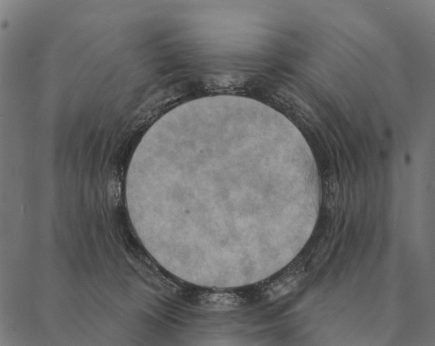 X0000087350324200705181133