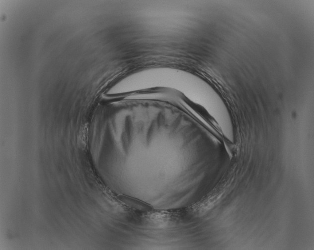 X0000087350325200705181133