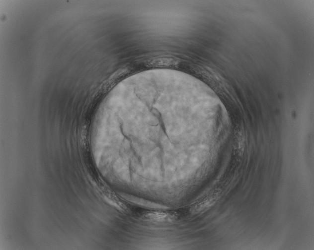 X0000087350326200705181133