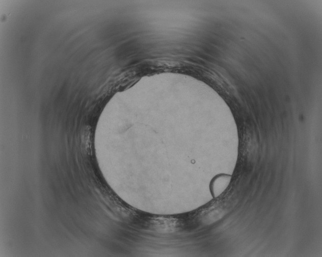 X0000087350328200705181133