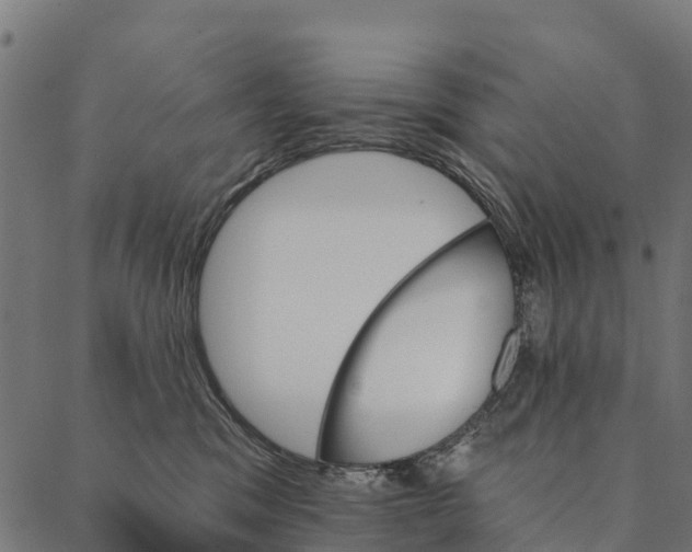 X0000087350329200705181133