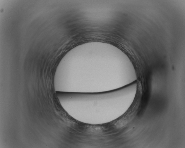 X0000087350332200705181133