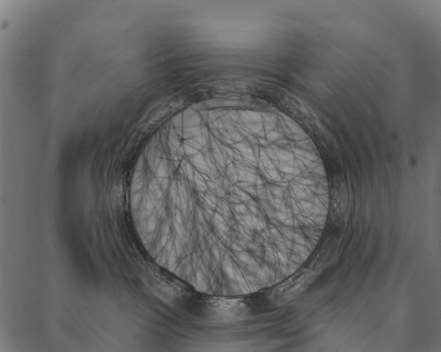 X0000087350333200705181133