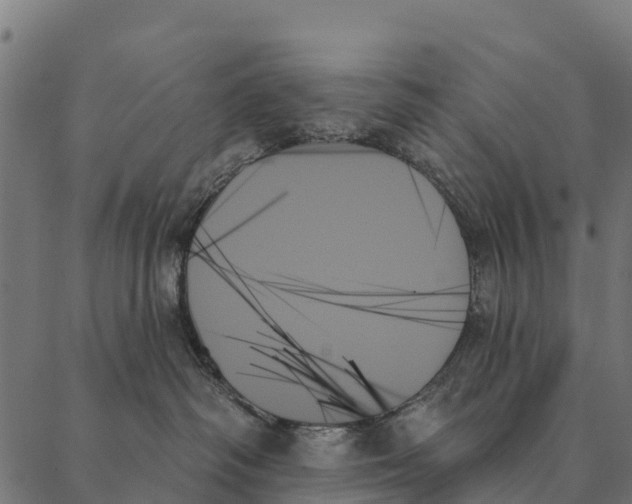 X0000087350334200705181133