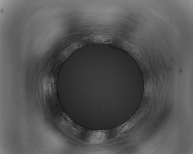 X0000087350335200705181133