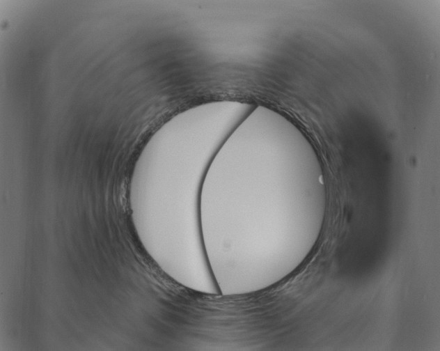 X0000087350336200705181133