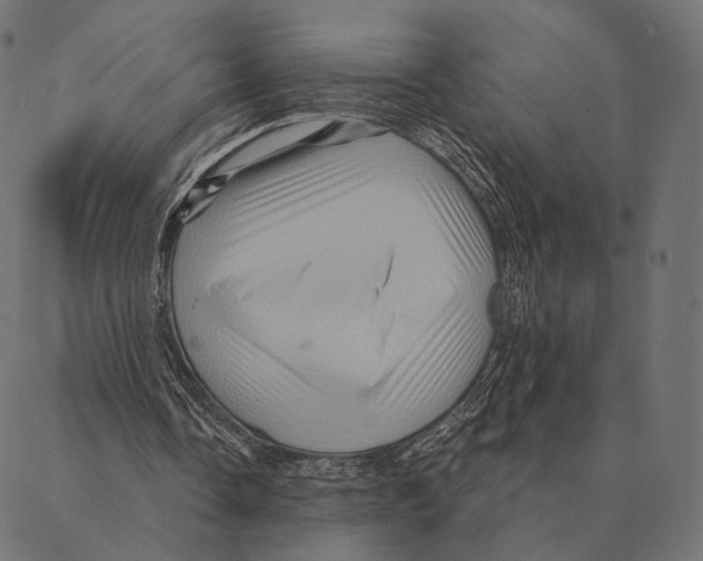 X0000087350338200705181132