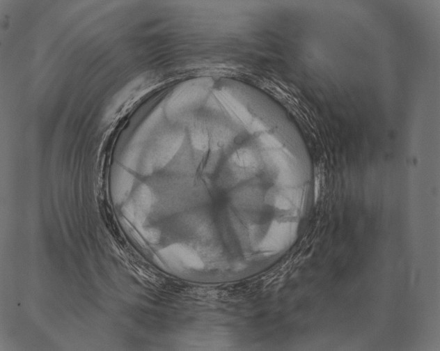 X0000087350339200705181132