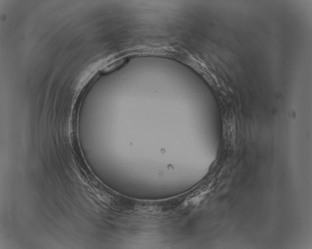 X0000087350340200705181132