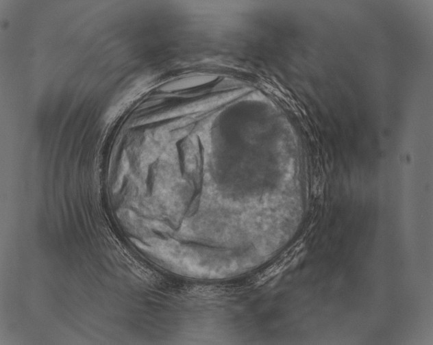 X0000087350341200705181132