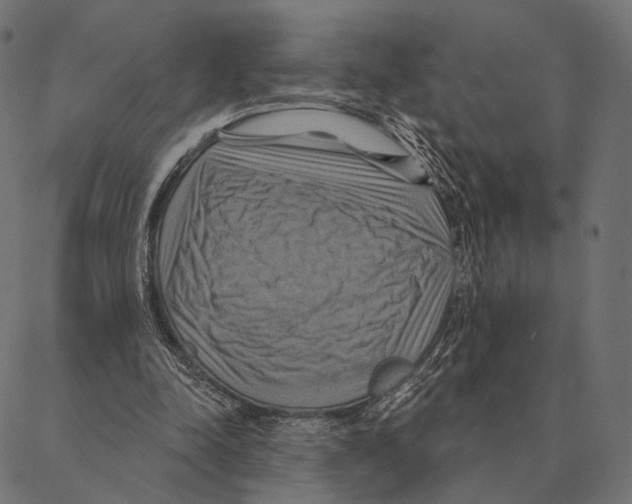 X0000087350342200705181132