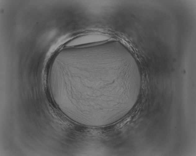 X0000087350343200705181132