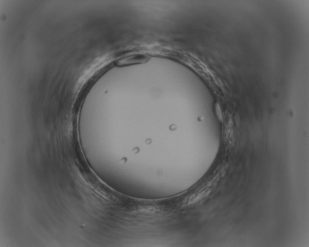 X0000087350344200705181132