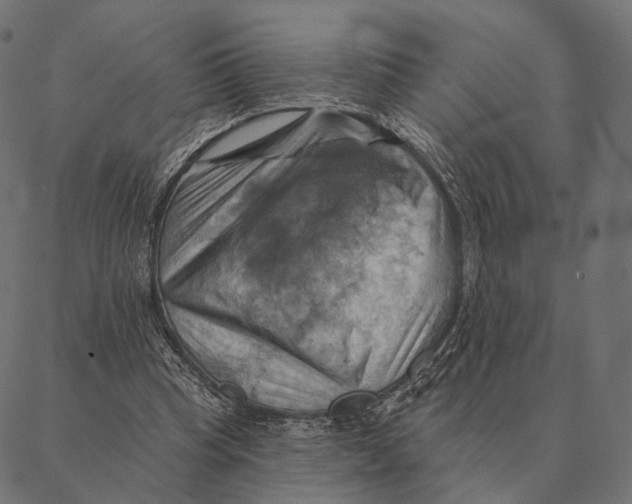 X0000087350345200705181132