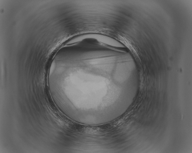 X0000087350346200705181132