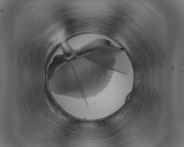 X0000087350349200705181132