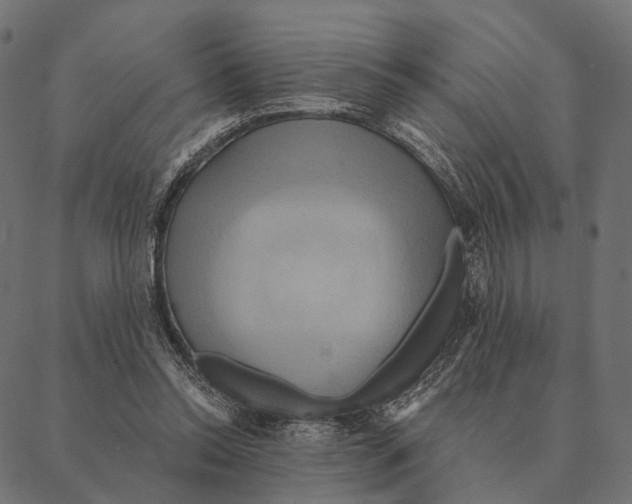 X0000087350350200705181132