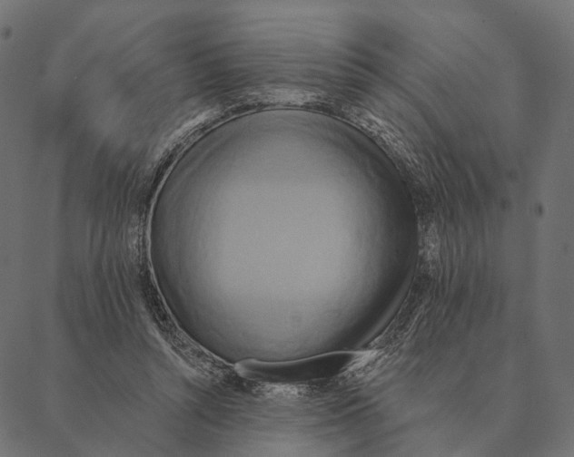 X0000087350352200705181132