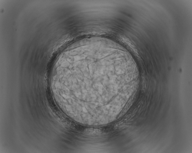 X0000087350354200705181132