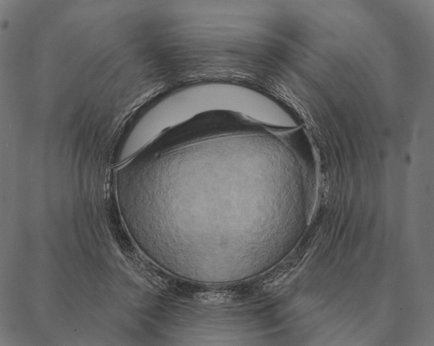 X0000087350356200705181132