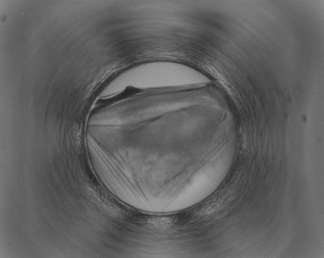 X0000087350357200705181132