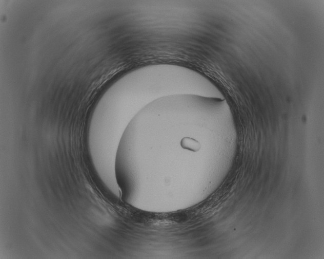 X0000087350360200705181132