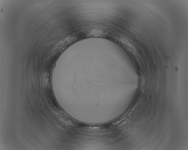 X0000087350361200705181132